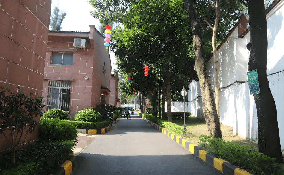 系电话颐年养老院地址收费及服务内容介绍CQ9电子网站广州海珠区颐年养老院联(图3)